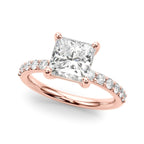 Princess & Diamond Accents  2.86 carat Regular $4450 NOW 2450.00 (Diamond and Setting)