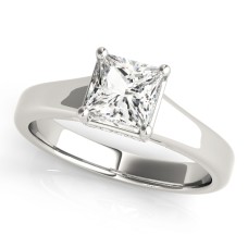 Princess Crown $1699.00