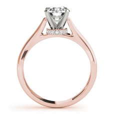 Split Shank Surprise $1199.00